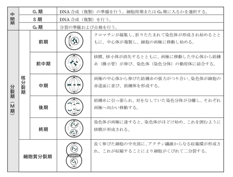 解説画像